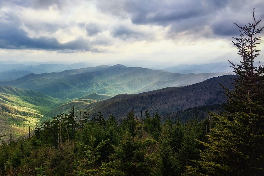 Video Library - Landscape of Moutain Ranges in North Carolina with Tall Trees in the Fore Ground on a Cloudy Day